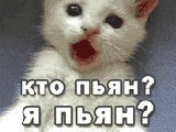 ���� �������, �������, 43 ���� - ��������� 10 ������� 2012 � ������ �������