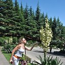  Leyla, , 52  -  21  2012    