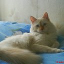  Penelopaxxx,  -  4  2011    