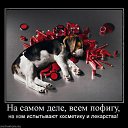  ~~, , 27  -  1  2011    