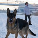 ���� ���������, ������-���, 66 ��� - ��������� 15 ������ 2011 � ������ �������� �����