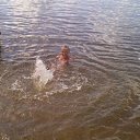 ���� ����, �����, 49 ��� - ��������� 28 ������� 2012 � ������ ���� ����������