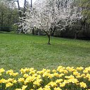 ���� �����, �����-���������, 51 ��� - ��������� 18 ��� 2013 � ������ ���� ����������