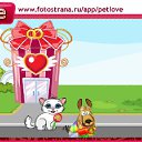  , , 41  -  25  2010   PetLove