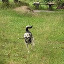 ���� �����, ����, 41 ��� - ��������� 18 ������� 2010 � ������ ��������� ��������
