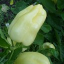 ���� �������, ��������� - ��������� 19 ������� 2012 � ������ ������ �� ������