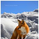 ���� �������, ������, 50 ��� - ��������� 21 ����� 2010 � ������ ������� ��������