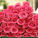 ���� ������, ��������, 39 ��� - ��������� 2 ������ 2012 � ������ �PetLove�