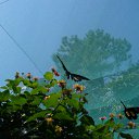  Infinitty, , 27  -  29  2011    