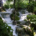 ���� Toryst, �����-���������, 53 ���� - ��������� 21 ����� 2010 � ������ ���������� ��� (���������� ����� ���������� � ��������)�