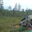 ���� �����, �����������, 37 ��� - ��������� 29 ������� 2009 � ������ ���� ����������