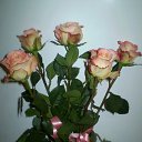 ���� �����, �����-���������, 47 ��� - ��������� 9 ������� 2010