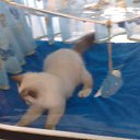 ���� ������, ������, 36 ��� - ��������� 20 ������ 2012