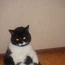 ���� Denis, ������, 39 ��� - ��������� 19 ������� 2012