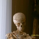 ���� �����, ������, 41 ��� - ��������� 9 ������ 2012