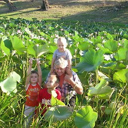 ���� ���������, ���������, 68 ��� - ��������� 28 �������� 2011