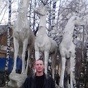 ���� ������, ����, 49 ��� - ��������� 3 ���� 2012 � ������ ���� ����������