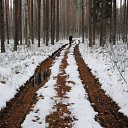 ������ � ���� �� ������� ������� ����