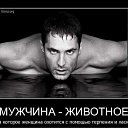 ���� ���������, ������������ - ��������� 26 ����� 2012 � ������ �������� � �������� � ���������