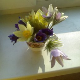 �����, ����������, 40 ���