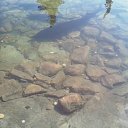  , -, 61  -  19  2011   