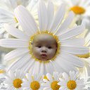  S C O R P I O N, , 49  -  8  2011   