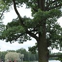  Drdemon, , 47  -  10  2010   --2010