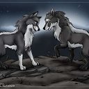 ���� &dagger;���� Wolfa ������&dagger;, ������ ��������, 27 ��� - ��������� 8 ������ 2010 � ������ ������