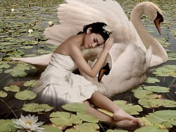 ���� ������, ���������, 44 ���� - ��������� 27 ������� 2011