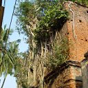  , , 60  -  15  2009    3