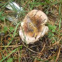 ���� �����, ����������, 73 ���� - ��������� 11 ������ 2012 � ������ ���� ����������