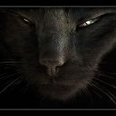 ���� �����, ��������, 34 ���� - ��������� 22 �������� 2012 � ������ �������