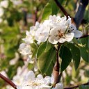  ok, --, 44  -  27  2010   