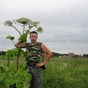  , , 54  -  2  2010   Ż