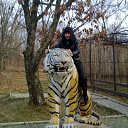 ���� �������, ���������, 38 ��� - ��������� 2 ��� 2012 � ������ ���� ����������