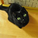   -  !), -, 53  -  18  2012   ***