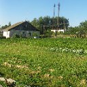 ���� ���������, ���������� - ��������� 13 ���� 2010 � ������ ��������