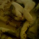 ���� ����, ��� - ��������� 11 ������ 2010 � ������ ���� ������� �������