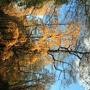 ���� ����, �����-���������, 56 ��� - ��������� 23 ������� 2012 � ������ ������ .������ ������