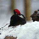 ���� �����, �������������, 25 ��� - ��������� 28 ���� 2013 � ������ ������������. ������� ��������� ����������� 2010.�