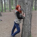 ���� �����, �����������, 33 ���� - ��������� 2 ������ 2012 � ������ ���� ����������