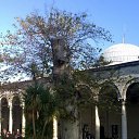 ���� ���������, �����, 51 ��� - ��������� 15 ������ 2010 � ������ ��������. ������ 2010�