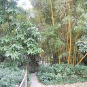 ���� ���, ������� - ��������� 30 ������� 2011 � ������ ������������