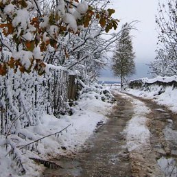 ���� Anna, �������, 45 ��� - ��������� 22 ������� 2011