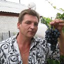 ���� �������, ���������, 51 ��� - ��������� 16 ������� 2012