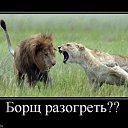 ���� �������, ������, 39 ��� - ��������� 23 ������� 2010 � ������ ��������������