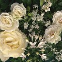 ���� ������, ������, 74 ���� - ��������� 15 ������ 2013 � ������ ���� ����������