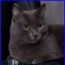 ���� �������, �����-���������, 59 ��� - ��������� 16 ������� 2011