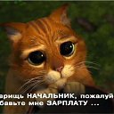 ���� Net, ������ - ��������� 19 ������� 2013 � ������ ���� ����������