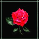 ���� ������� (������ 8-�� ������), �������, 28 ��� - ��������� 2 ����� 2012 � ������ ��������, �������� � ��.�